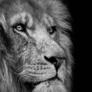 Meet your Posher, Curella